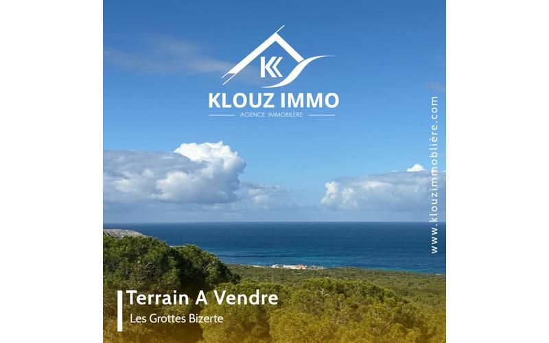 Terrain